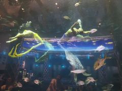 -瑞德姆美人鱼海底演艺主题餐厅(亚龙湾店)