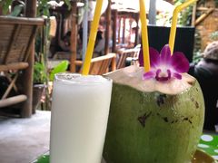 -Jungle Kitchen
