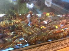 -快乐海鲜城(虎泉街店)