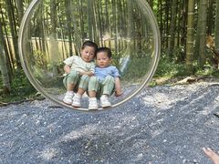 -东明山森林公园
