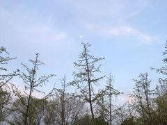 -绿堤公园