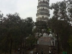 android_upload_pic-榴花公园