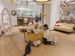 -1013 PET SHOP精品宠物商店(丁香店)