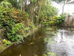 -鼓浪屿钢琴博物馆