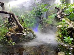 -梧桐花园餐厅(新城店)