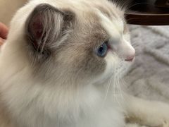 -猫遇摄影工作室