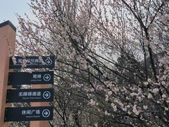 -北京鹫峰国家森林公园