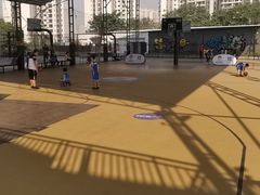 -东方启明星篮球培训(击掌校区)