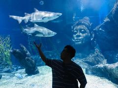 -暹罗海洋世界