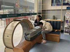 -伟伟宠物医院·瑞派猫友好医院·猫科(光谷店)