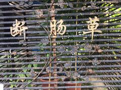 -广州神农草堂中医药博物馆