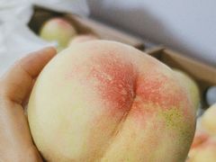 -南汇新场正宗水蜜桃采摘