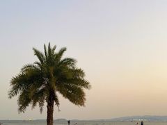 -白城沙滩