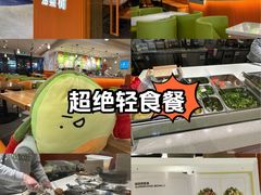 -油梨树 AVOCADO TREE(亮马桥店)