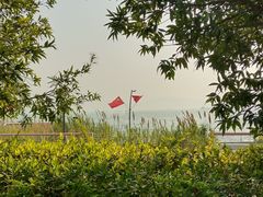 -深圳湾公园(南山区)