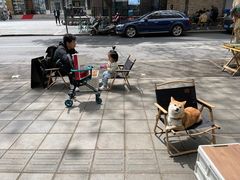 -常识咖啡common sense(春熙路店)
