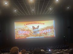 -博纳国际影城IMAX(中央大道店)