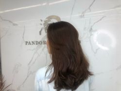 -潘多拉Hairsalon