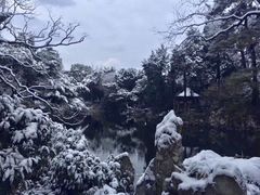 -叶家花园