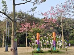 -云溪植物园