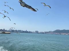 -威海国际海水浴场旅游区