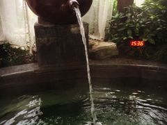 -杭州第一世界大酒店·云曼温泉
