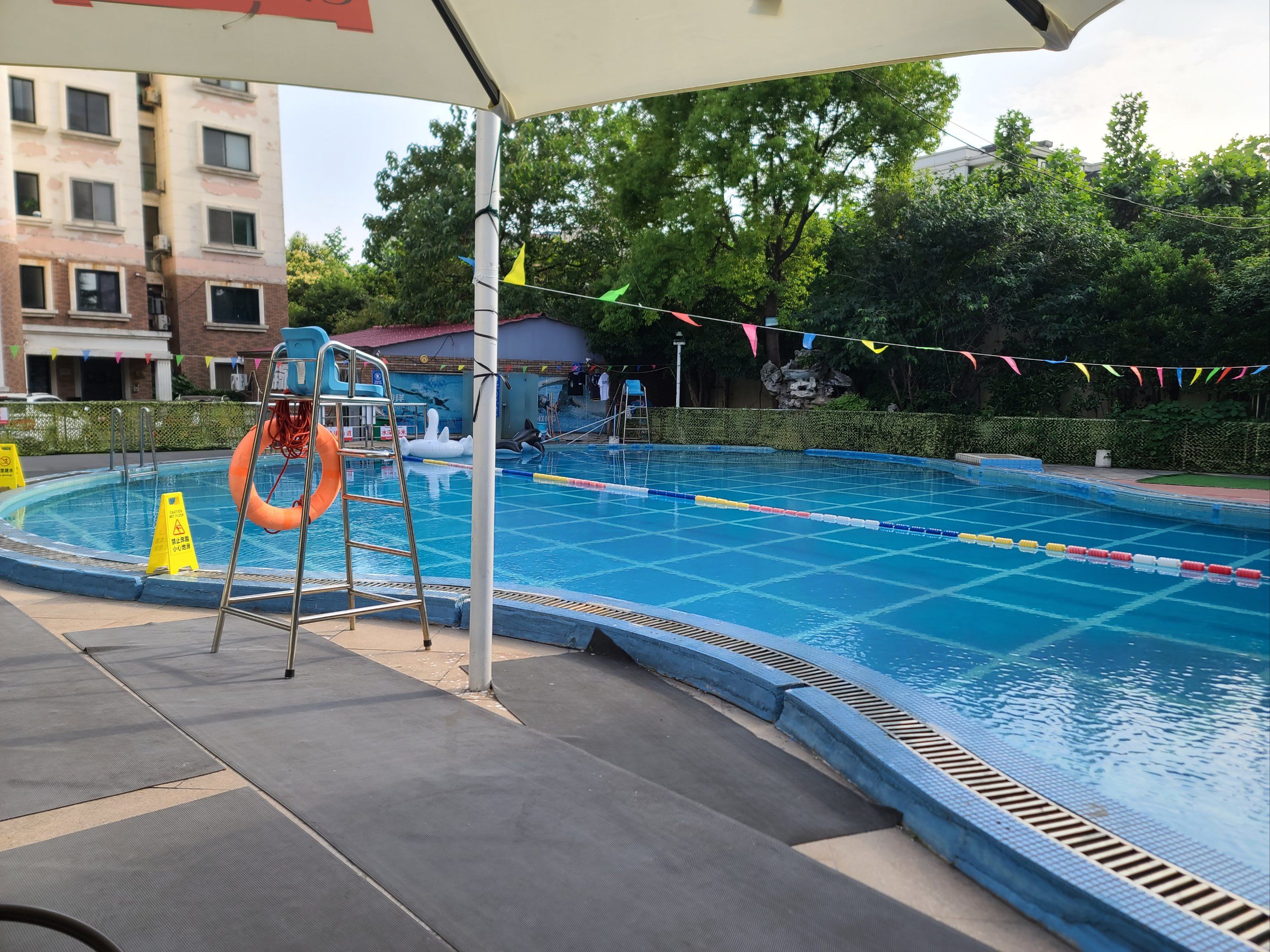 0元玩转这座城 #户外游泳 #每天坚持锻炼会有不一样的收获 #爱游泳