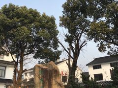 钱家坞-旺山景区