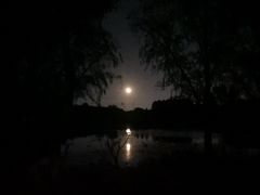 -昆山城市生态森林公园