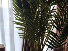 -泰合玺·精油疗愈SPA(狮山天街生活广场店)