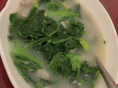 -鸿达渔港