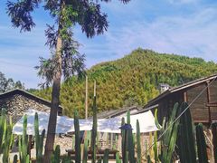 -MOJ coffee(瓯海泽雅水碓坑店)