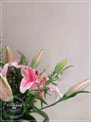 -平行宇宙普拉提健身