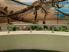 -延庆地质公园博物馆