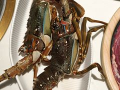 鲜活小青龙-雍容荟活帝王蟹活龙虾自助(苏宁旗舰店)