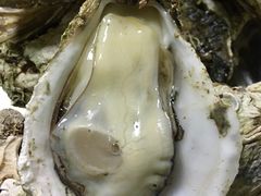 -大富蚝乌东哥饭店·石锅鱼杂·柠檬鸭(革新路店)