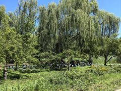 -圣露庄园·亲子活动乐园·露营·团建婚礼