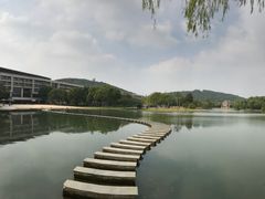 -上海佘山世茂艾美酒店