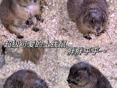 -正佳雨林生态植物园
