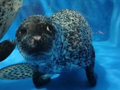 -成都浩海立方海洋公园