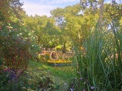 -上海共青森林公园