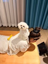 -INLIFE HAIR韩国美发