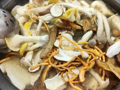 -菌之家·专业纯野生菌火锅·特色炒菌