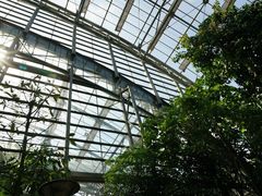 -南山植物园