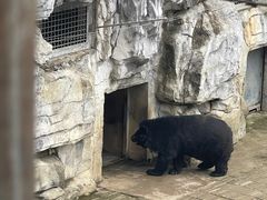 -黔灵山公园