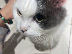 -怪兽屋·羊驼·猫咖·狗咖(俊华广场店)