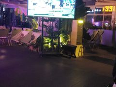 -M99 BEER世界啤酒吧(鸿云悦街店)