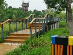-东郊湿地公园