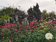 -人民公园(罗湖区)