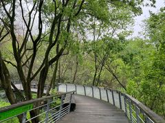 -西湖风景区-江洋畈生态公园